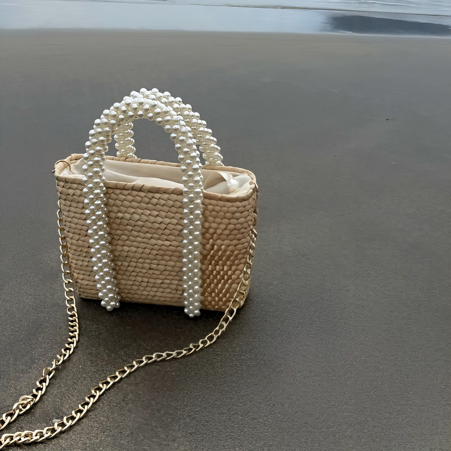 Bolsa Ericka