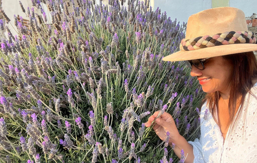 <h2>Esto dicen...</h2>